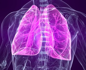 Lungs-Image